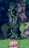 harventable_vine.png